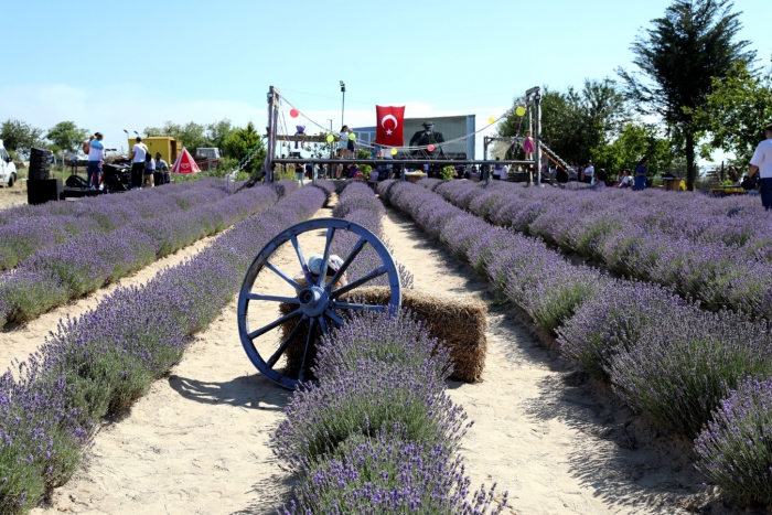KIZILPINAR’DA LAVANTA ESİNTİSİ